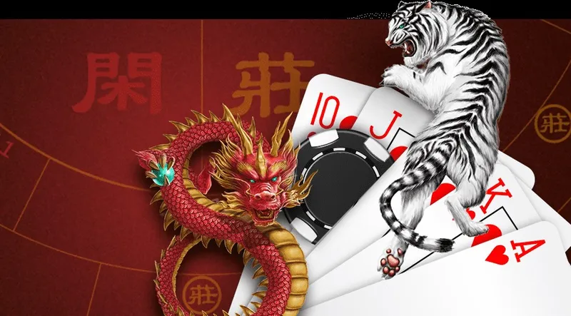 Chiến lược đặt cược rồng, hổ và cược hòa – Mẹo nhận diện xu hướng